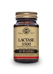 Lactase Wafers 3500 30 dairy free