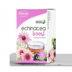 Echinacea Boost 25 teabags
