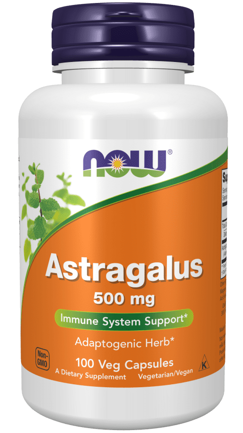 Astragalus Extract 500mg 90 vegecaps