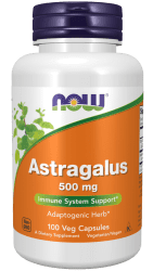 Astragalus Extract 500mg 90 vegecaps