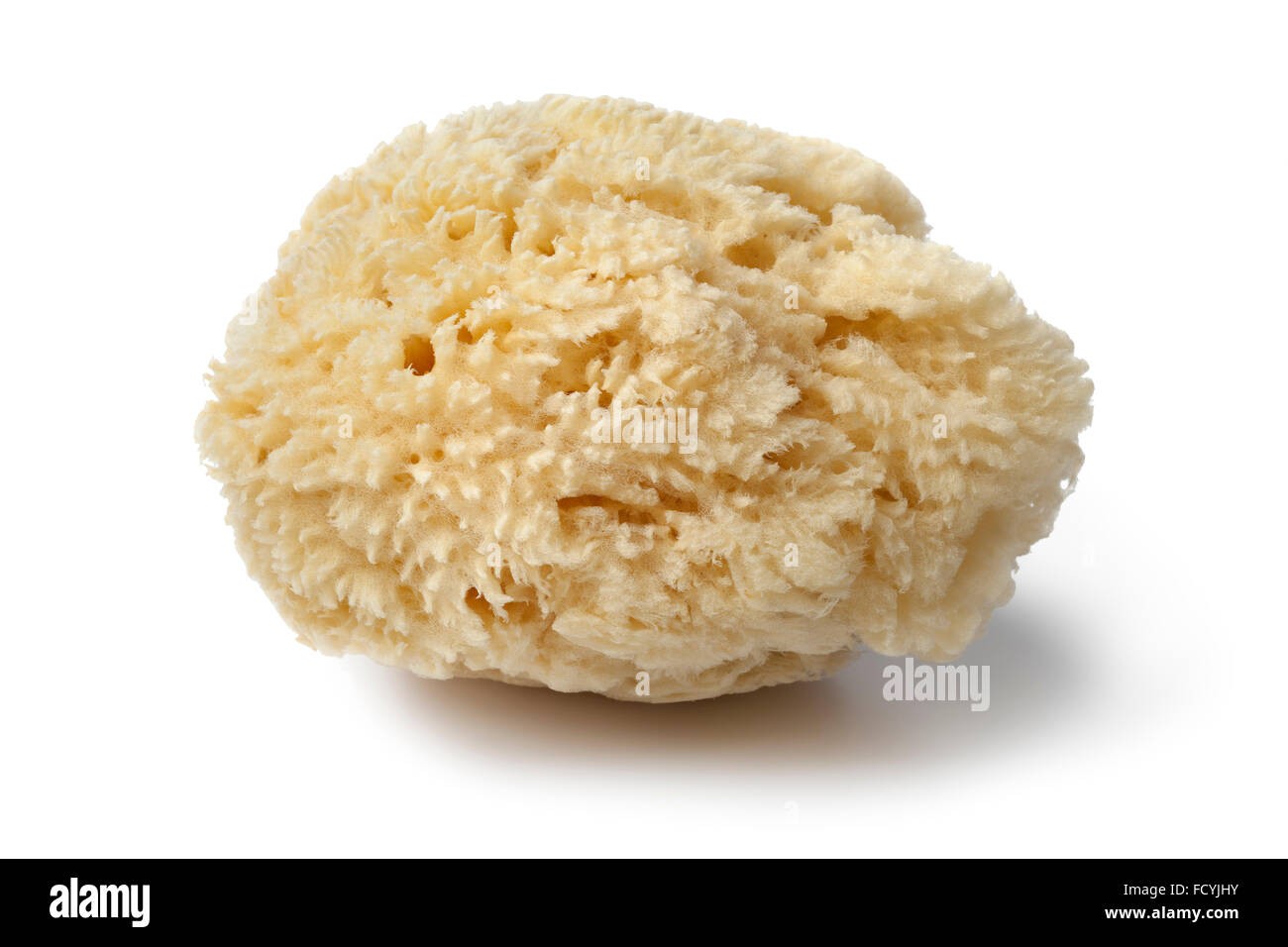 Sea Sponge, Cosmetic