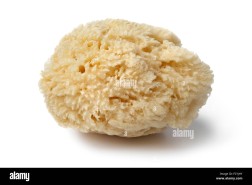 Sea Sponge, Cosmetic