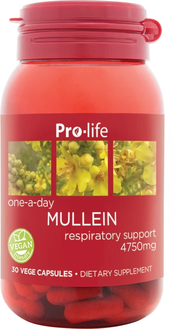 Mullein 4,750mg 30 vege caps
