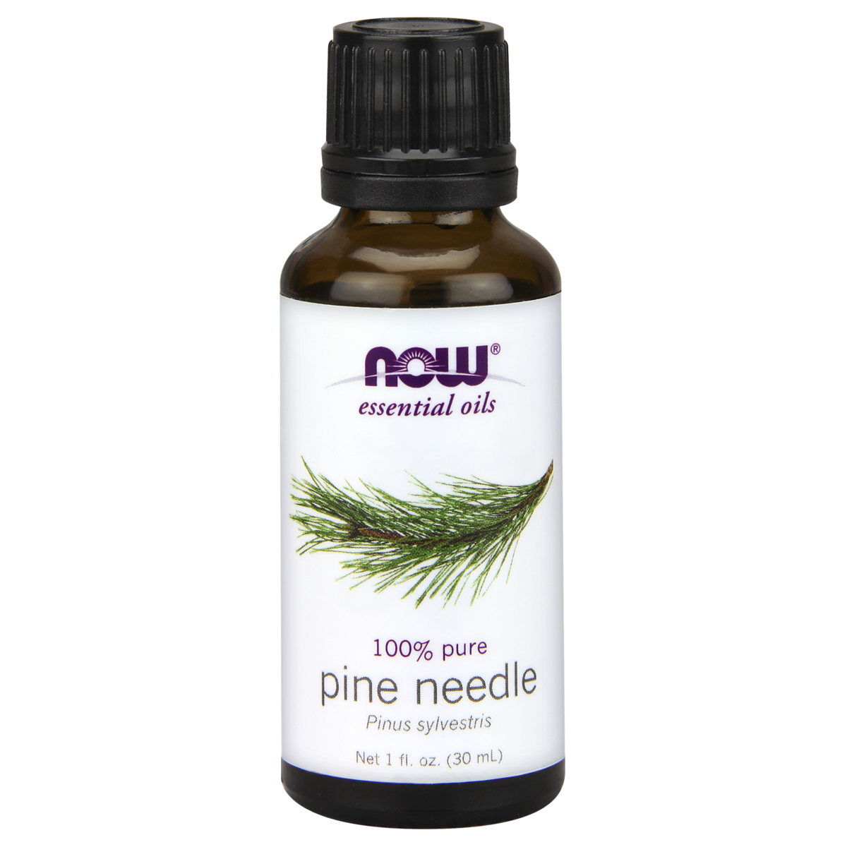 Pine Needle Oil 30ml (Now)