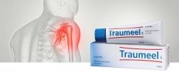 Traumeel Cream 50g