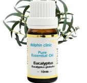 Eucalyptus Oil 10ml