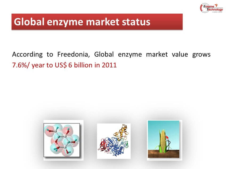 Global Enzymes